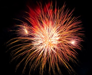 Image of Beautiful bright fireworks lighting up night sky