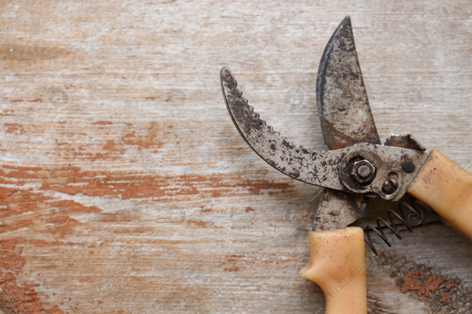 Photo of Old secateur on wooden background, top view. Space for text