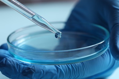Photo of Doctor dripping liquid from pipette into petri dish on blurred background, closeup. Laboratory analysis