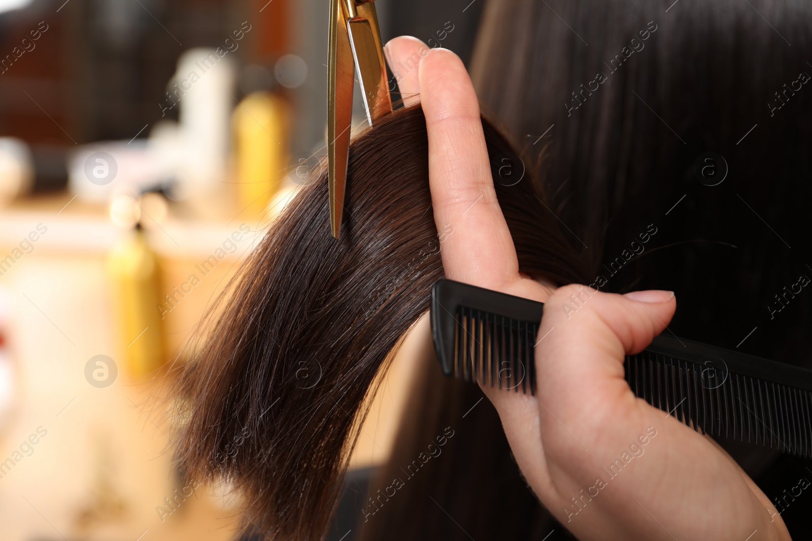 Photo of Hairdresser cutting client's hair with scissors in salon, closeup