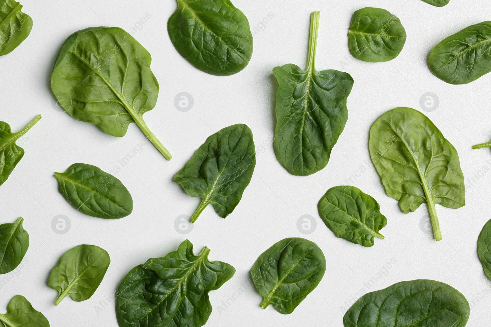 Photo of Fresh leaves of spinach isolated on white, top view