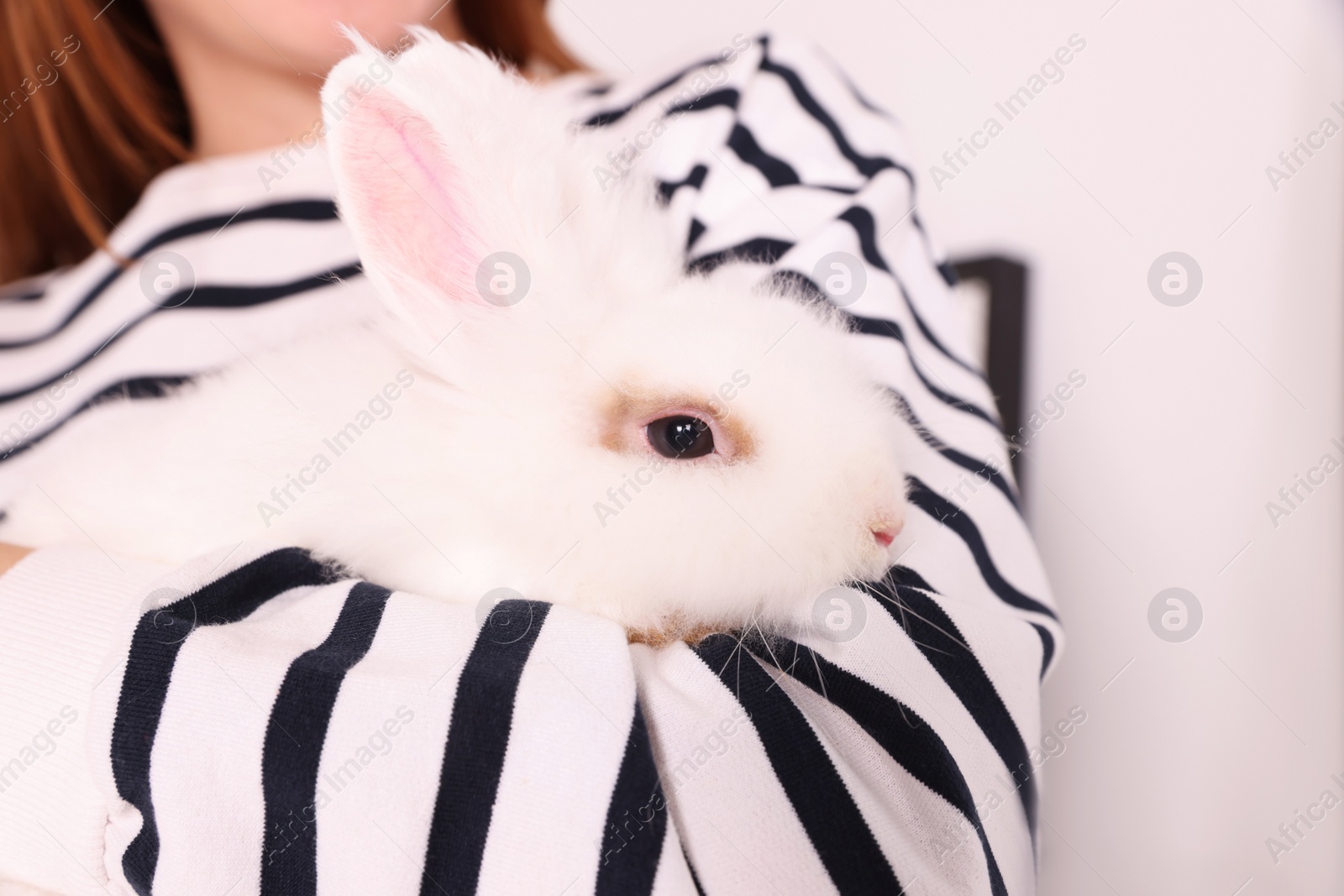 Photo of Woman with fluffy white rabbit, closeup. Cute pet