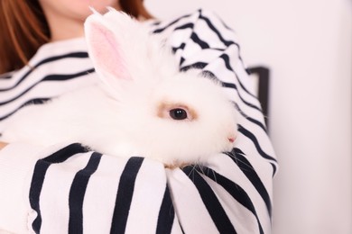 Woman with fluffy white rabbit, closeup. Cute pet