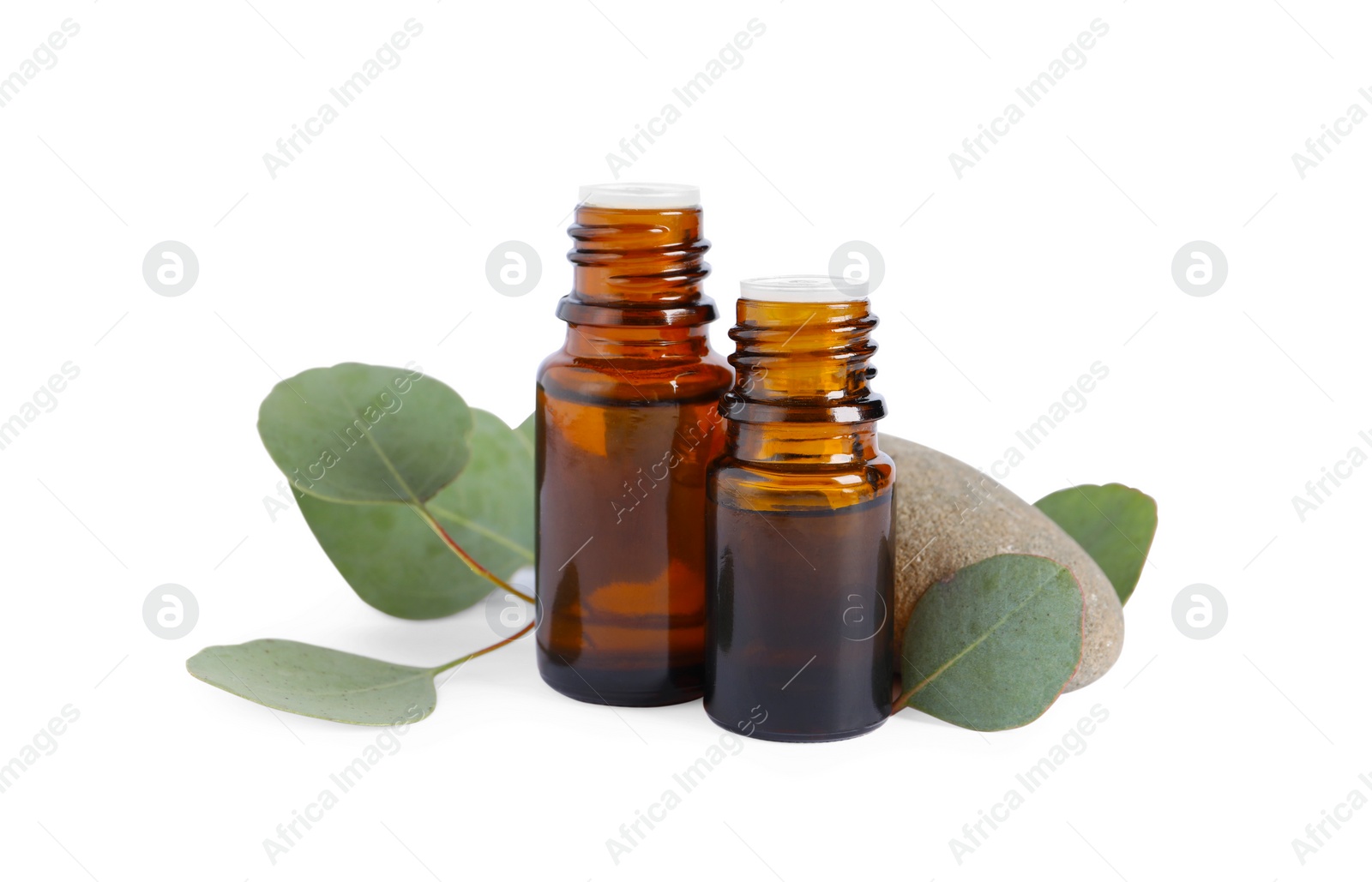 Photo of Bottles of eucalyptus essential oil, stone and plant branches on white background