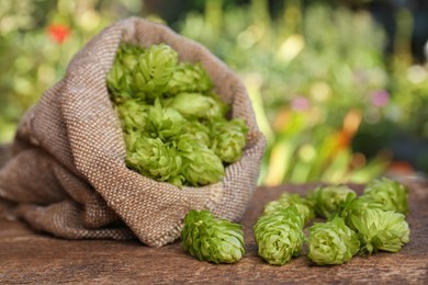 Sack and fresh hops on wooden table outdoors, closeup. Space for text