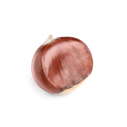 Fresh sweet edible chestnut isolated on white