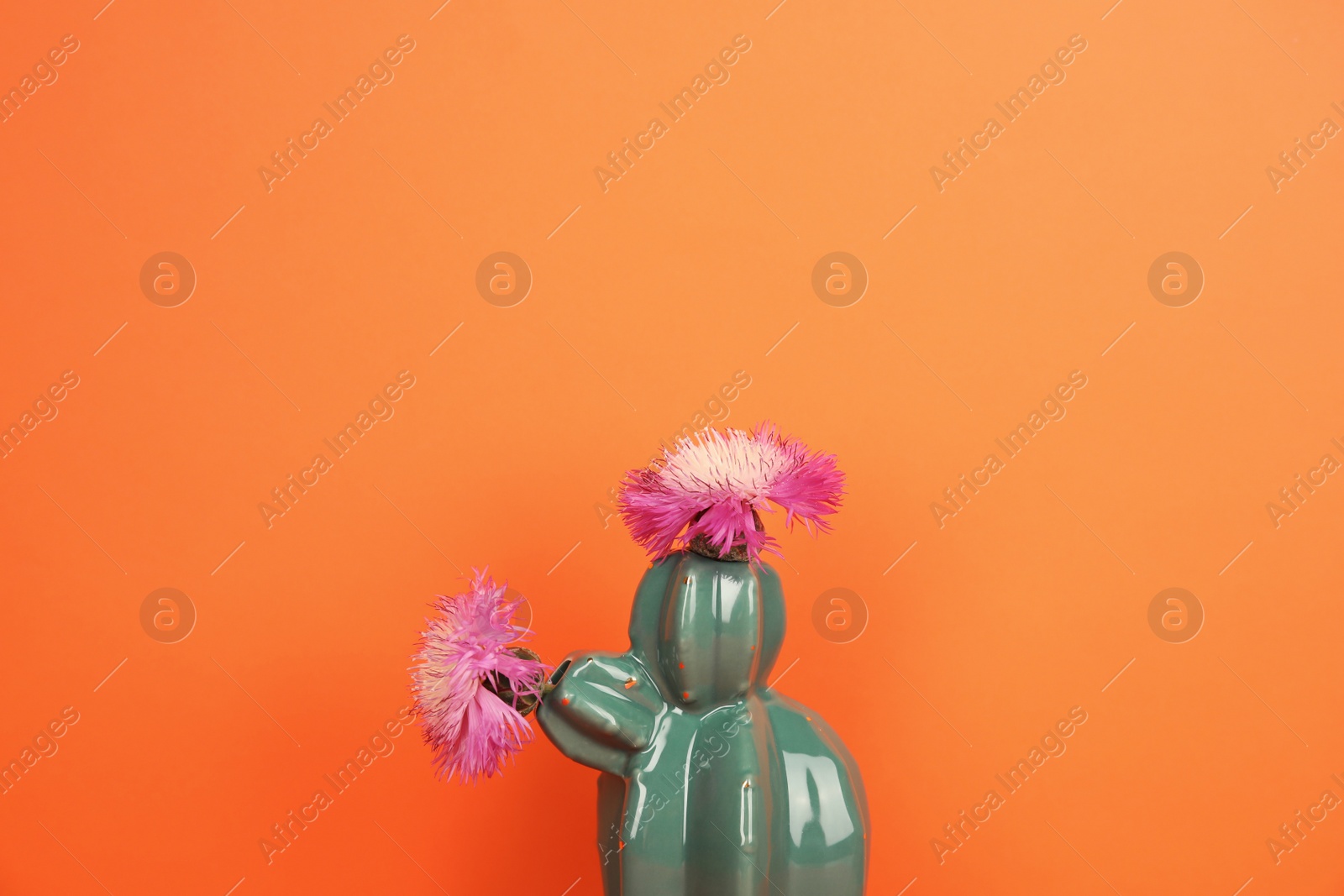 Photo of Trendy cactus shaped ceramic vase with flowers on color background