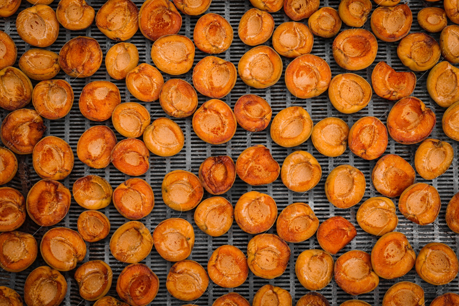 Photo of Many halved apricots on metal drying rack, flat lay