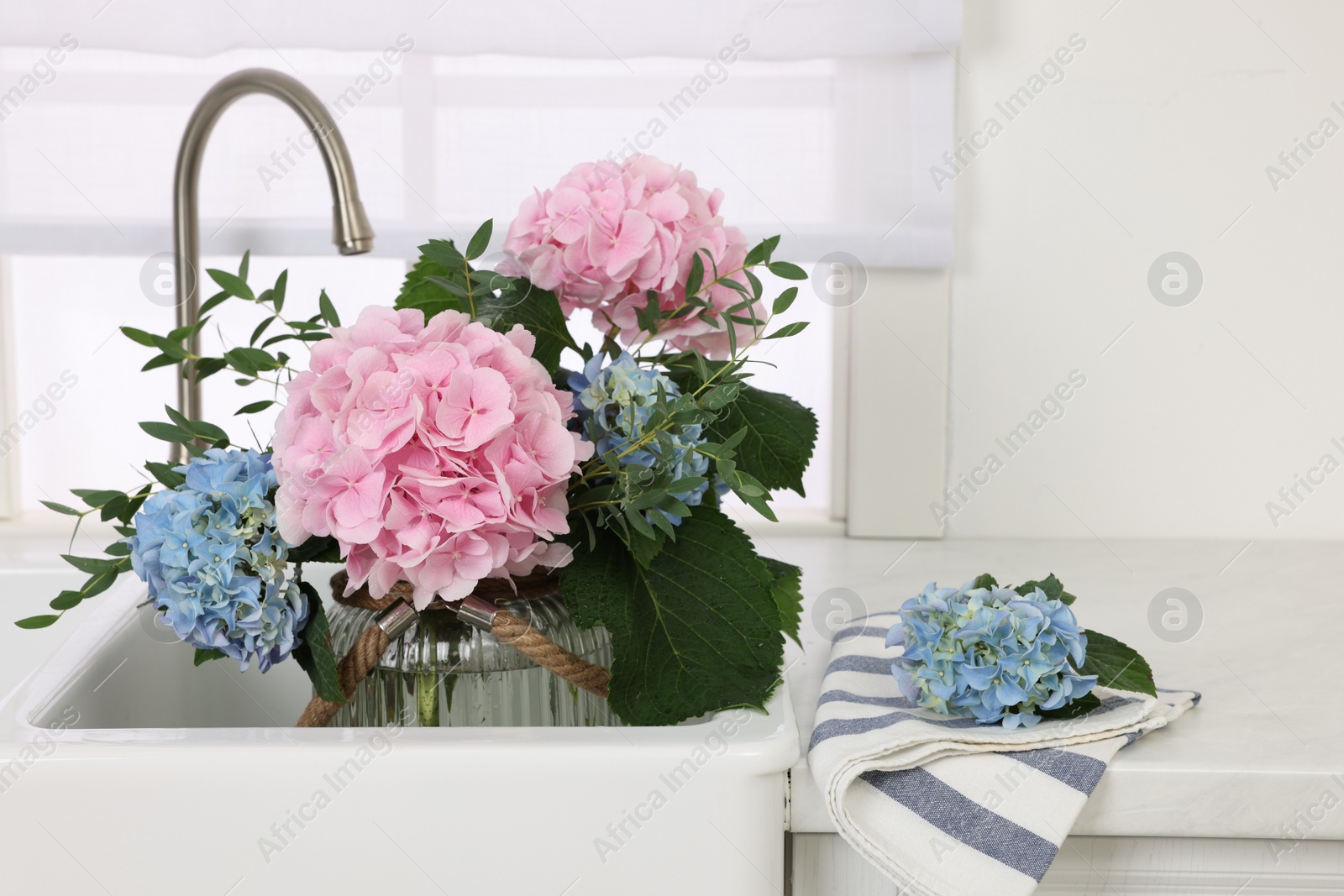 Photo of Vase with beautiful hortensia flowers in kitchen sink