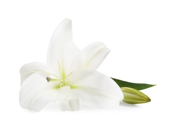 Photo of Beautiful fresh lily flower isolated on white
