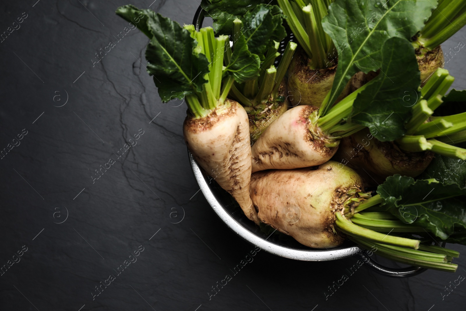 Photo of Colander with fresh sugar beets on black table, top view. Space for text