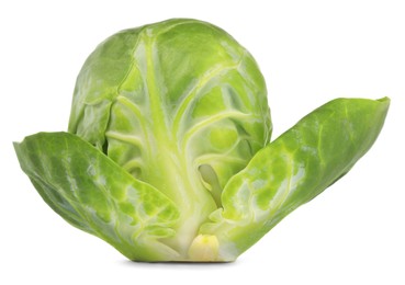 Fresh green brussels sprout isolated on white