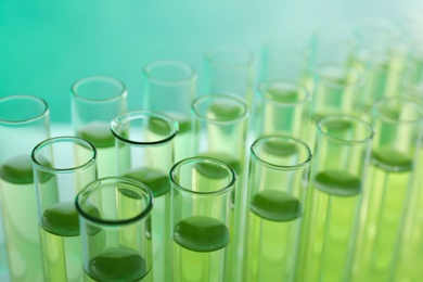 Photo of Many test tubes with liquid on color background, closeup