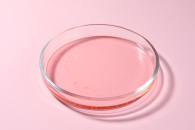 Petri dish with liquid on pale pink background, closeup