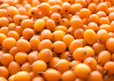 Photo of Fresh ripe sea buckthorn berries as background, closeup