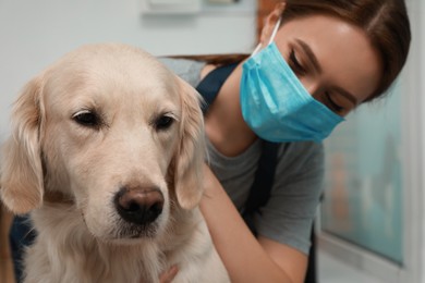Photo of Professional groomer working with cute dog in pet beauty salon