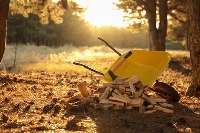 Photo of Cut firewood and axe near wheelbarrow in forest