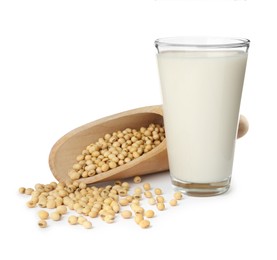 Glass of fresh soy milk and scoop with beans on white background