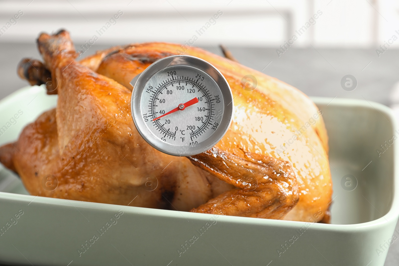 Photo of Roasted turkey with meat thermometer in baking dish