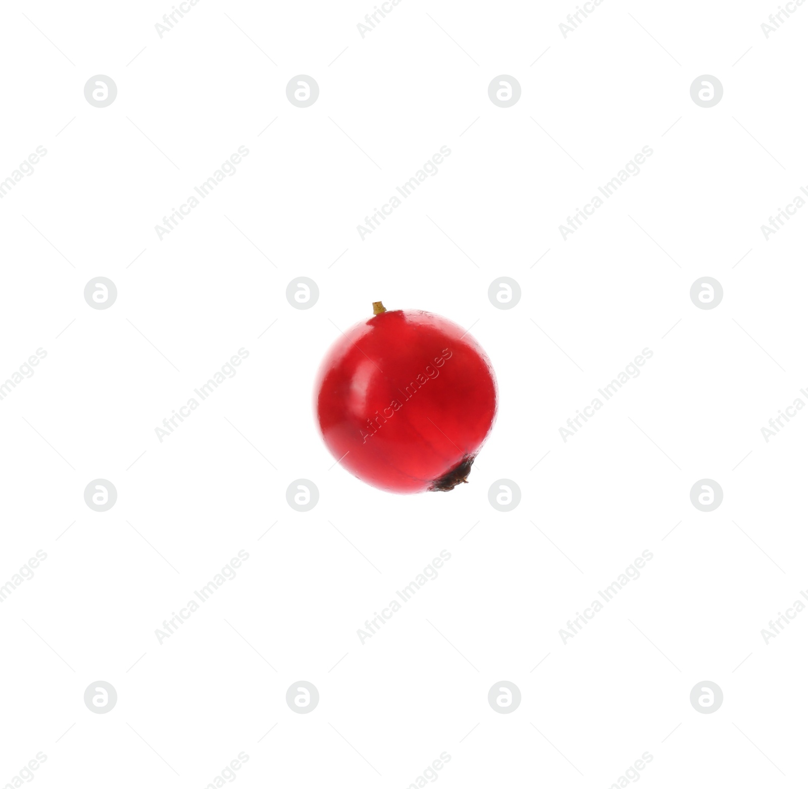 Photo of Delicious ripe red currant isolated on white