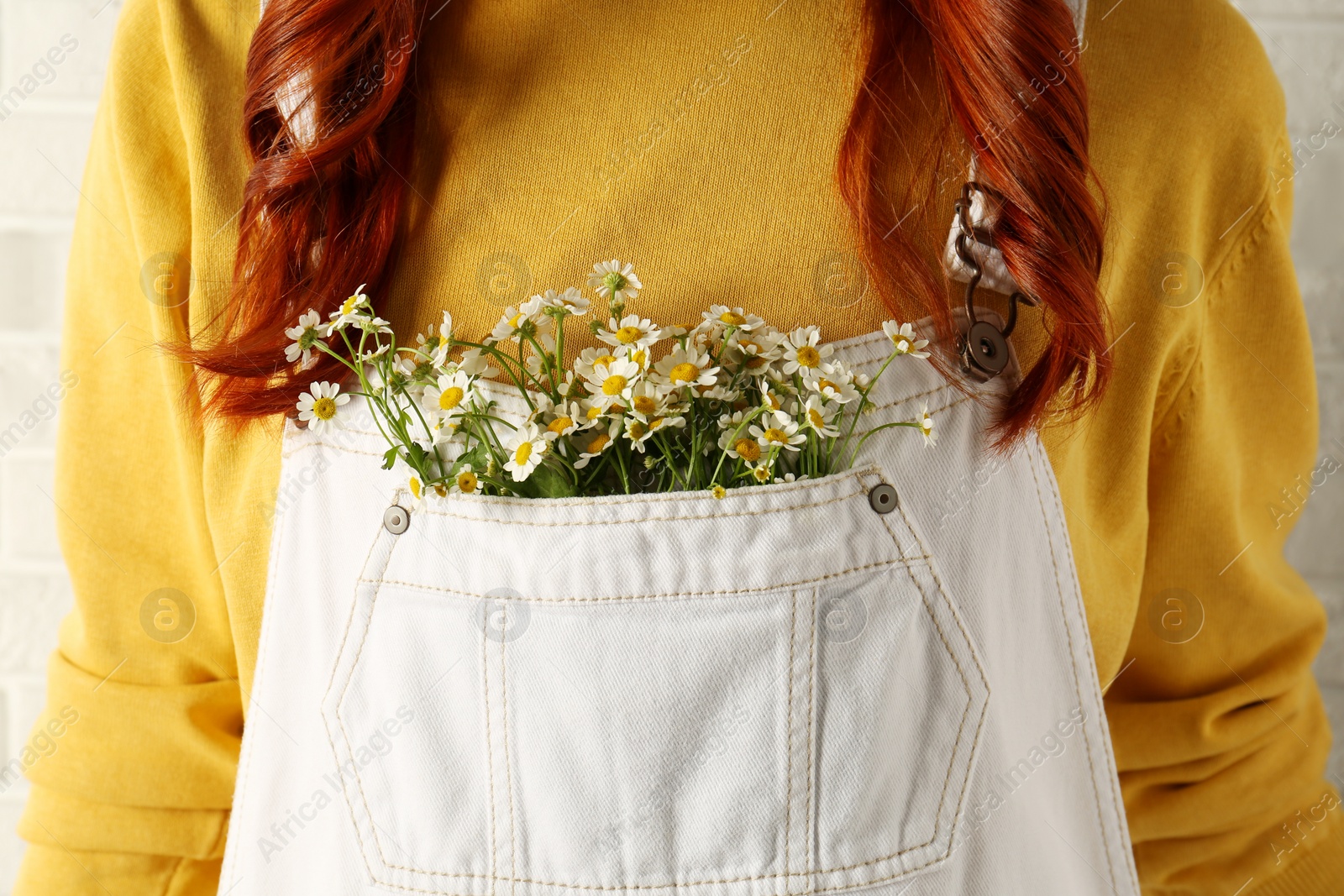 Photo of Woman with beautiful tender chamomile flowers in white jumpsuit's pocket, closeup