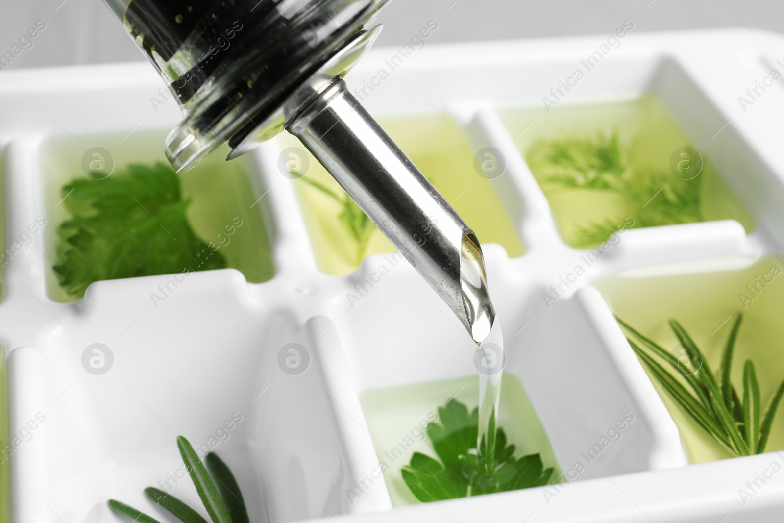 Photo of Pouring oil into ice cube tray with herbs, closeup