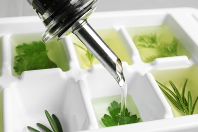 Photo of Pouring oil into ice cube tray with herbs, closeup