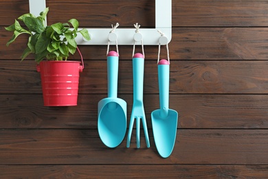 Photo of Plant and set of professional gardening tools hanging on wooden wall
