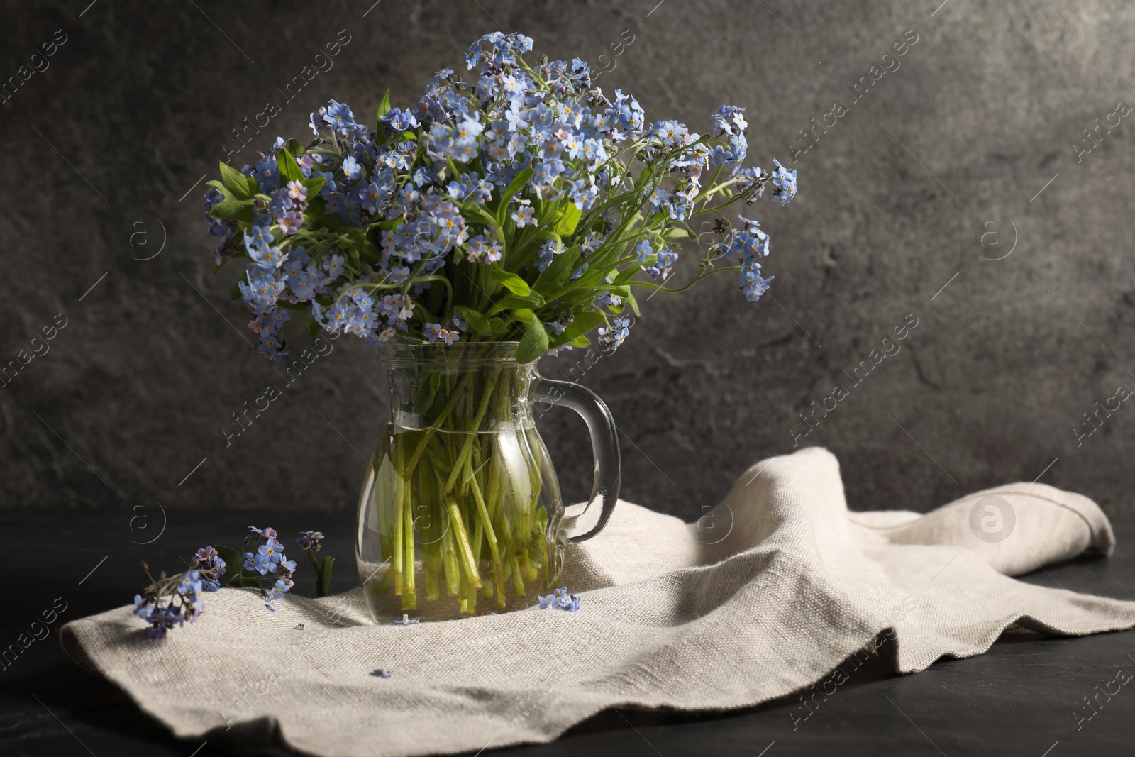 Photo of Bouquet of beautiful forget-me-not flowers in glass jug and cloth on gray table