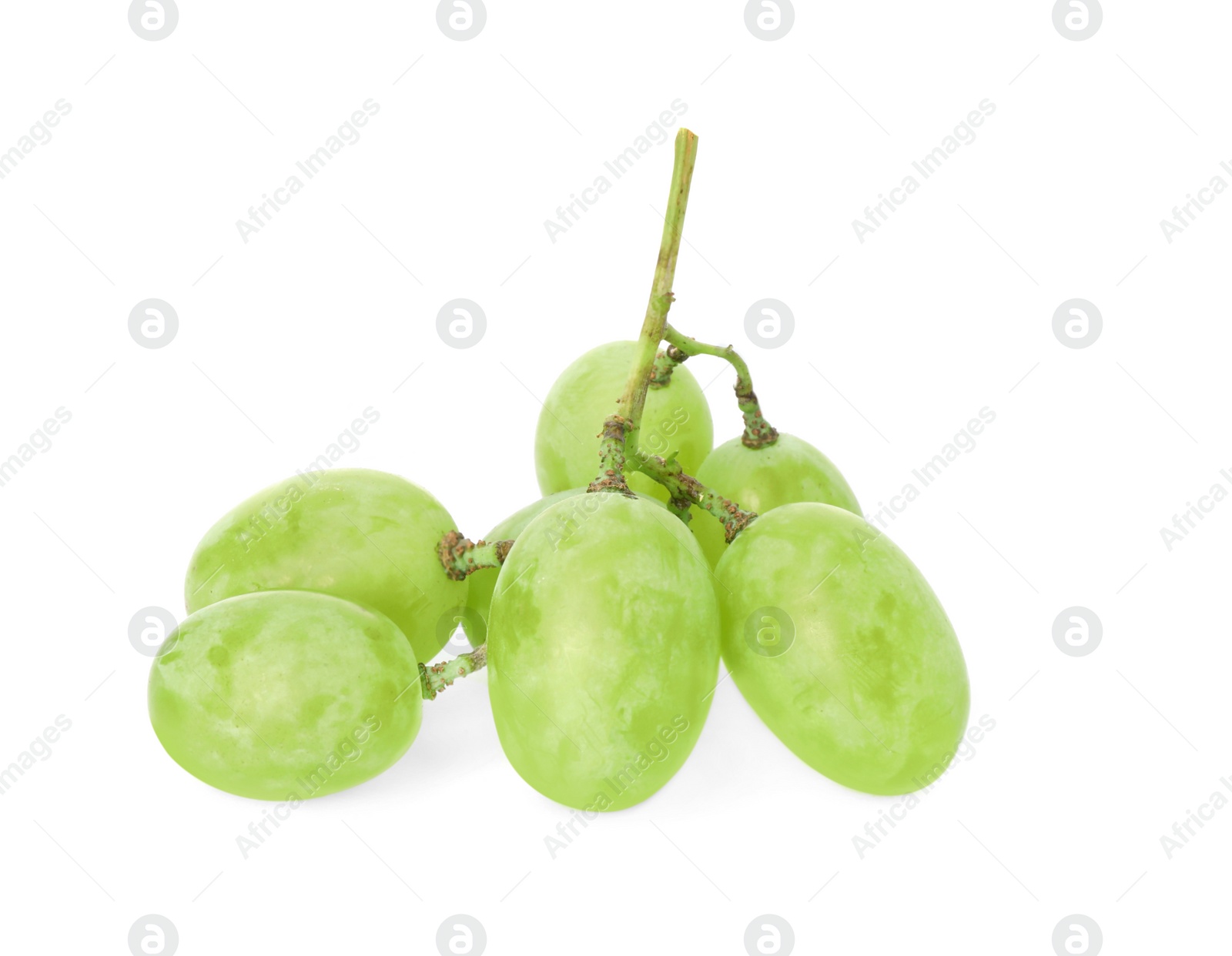 Photo of Fresh ripe juicy grapes isolated on white