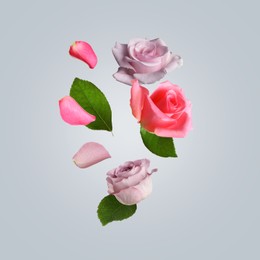 Image of Beautiful tender roses flying on light background