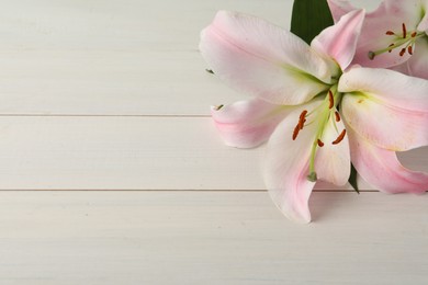 Photo of Beautiful pink lily flower on white wooden table. Space for text