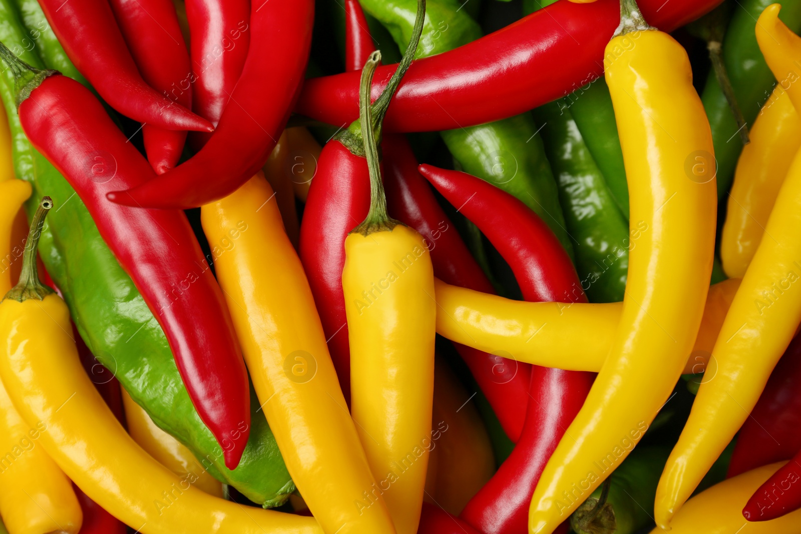 Photo of Ripe hot chili peppers as background, closeup