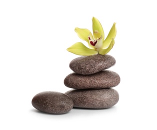 Photo of Spa stones with beautiful orchid flower on white background