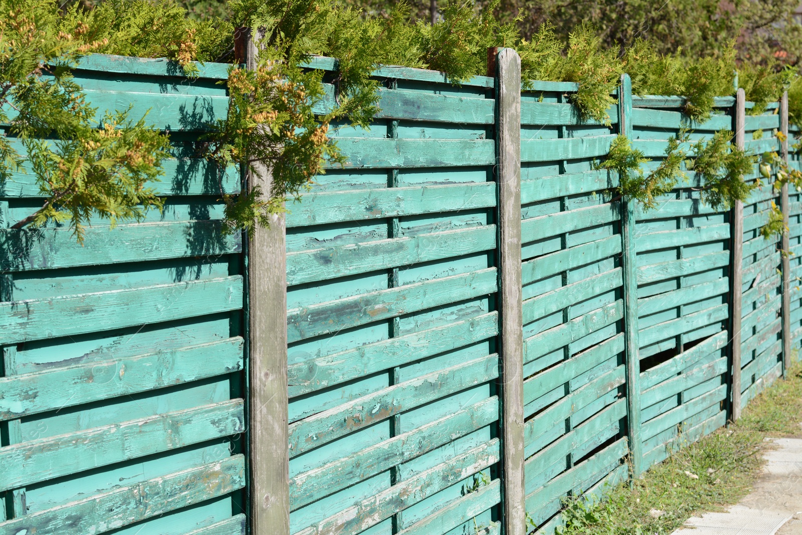 Photo of Wooden fence on sunny day near beautiful trees outdoors