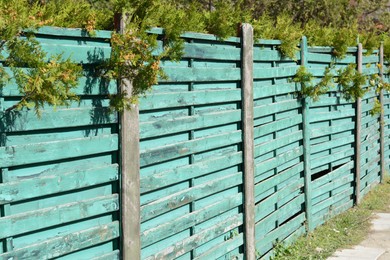 Photo of Wooden fence on sunny day near beautiful trees outdoors