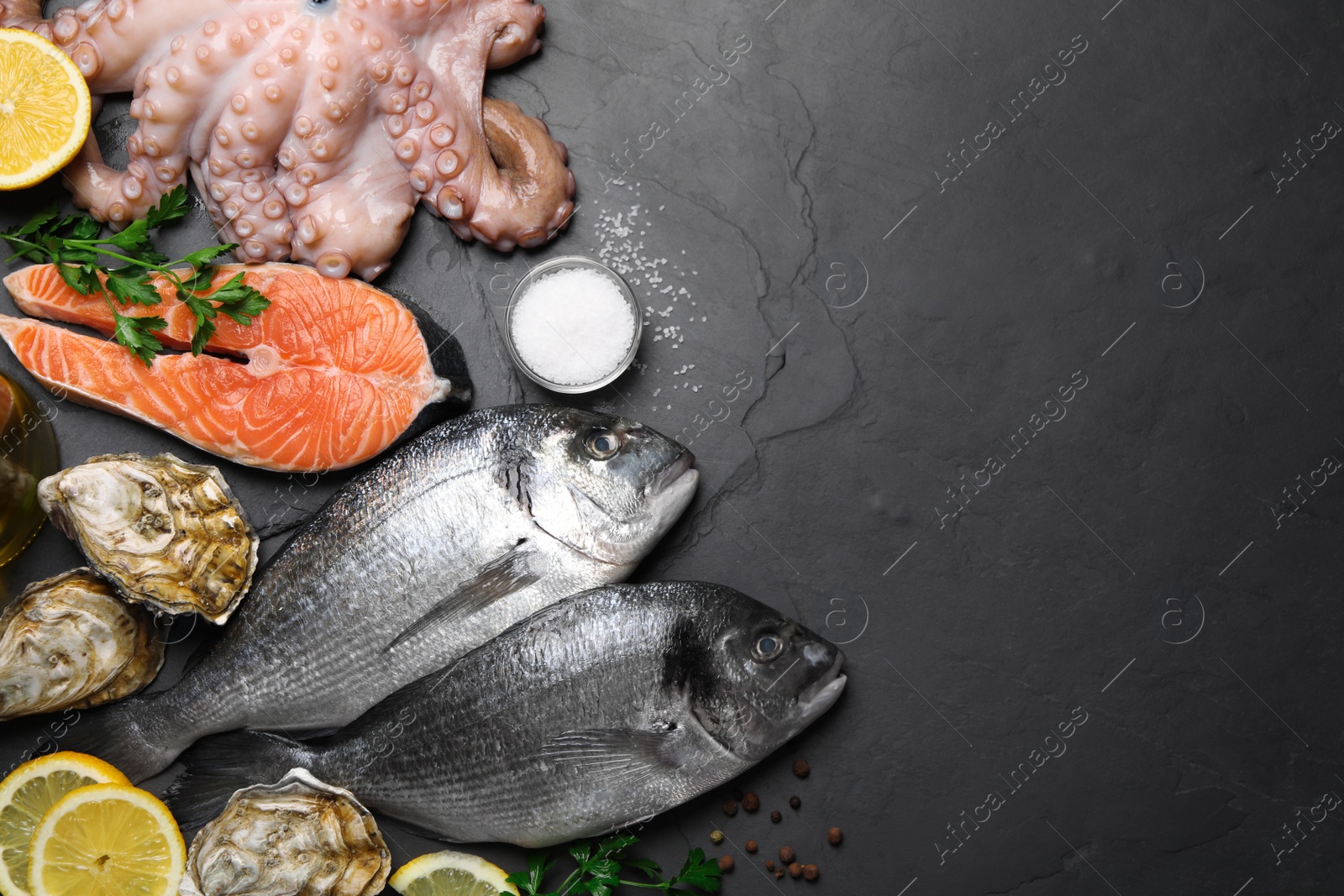 Photo of Fresh dorado fish and other seafood on black slate background, flat lay. Space for text