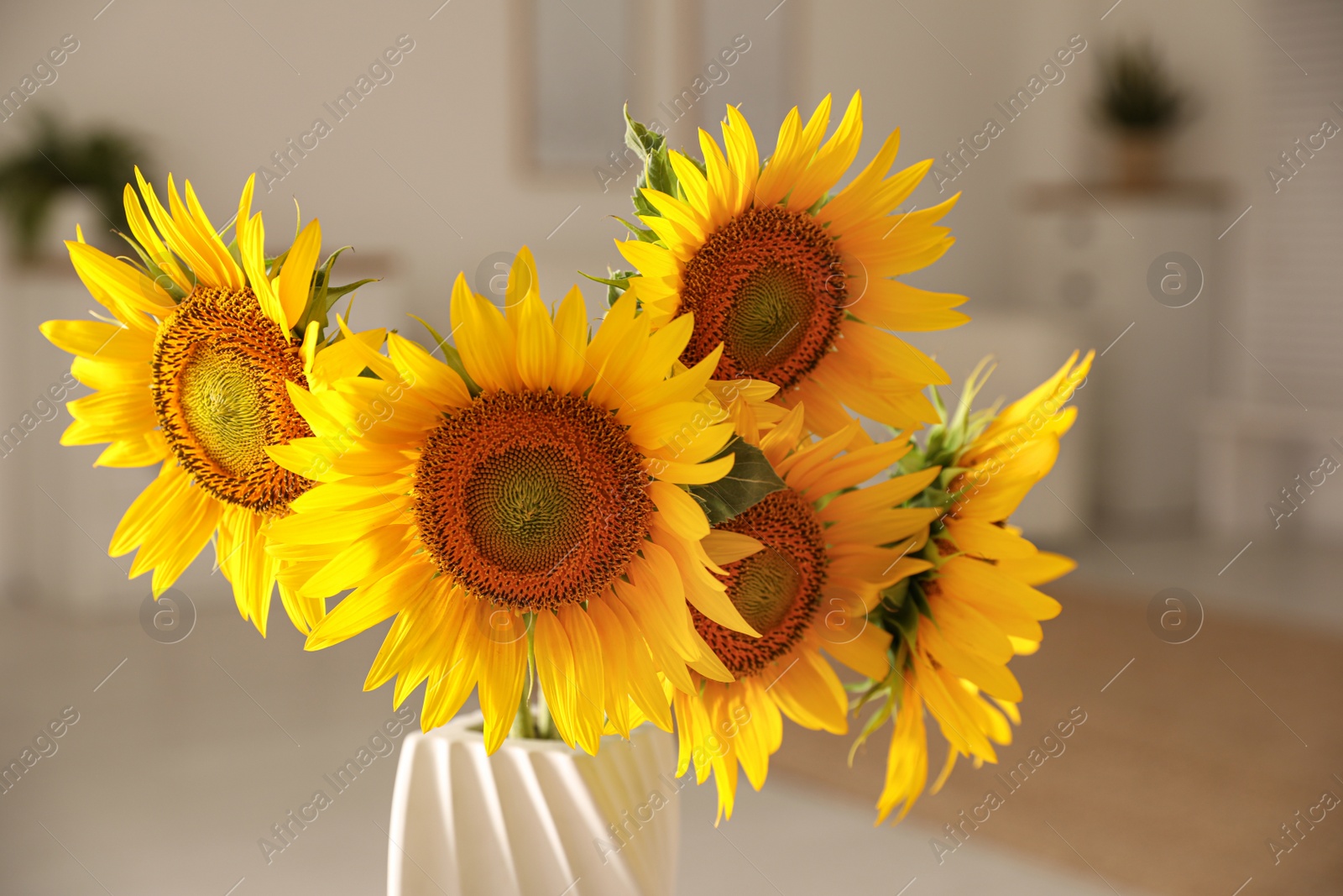 Photo of Beautiful bouquet of sunflowers in vase at home, closeup