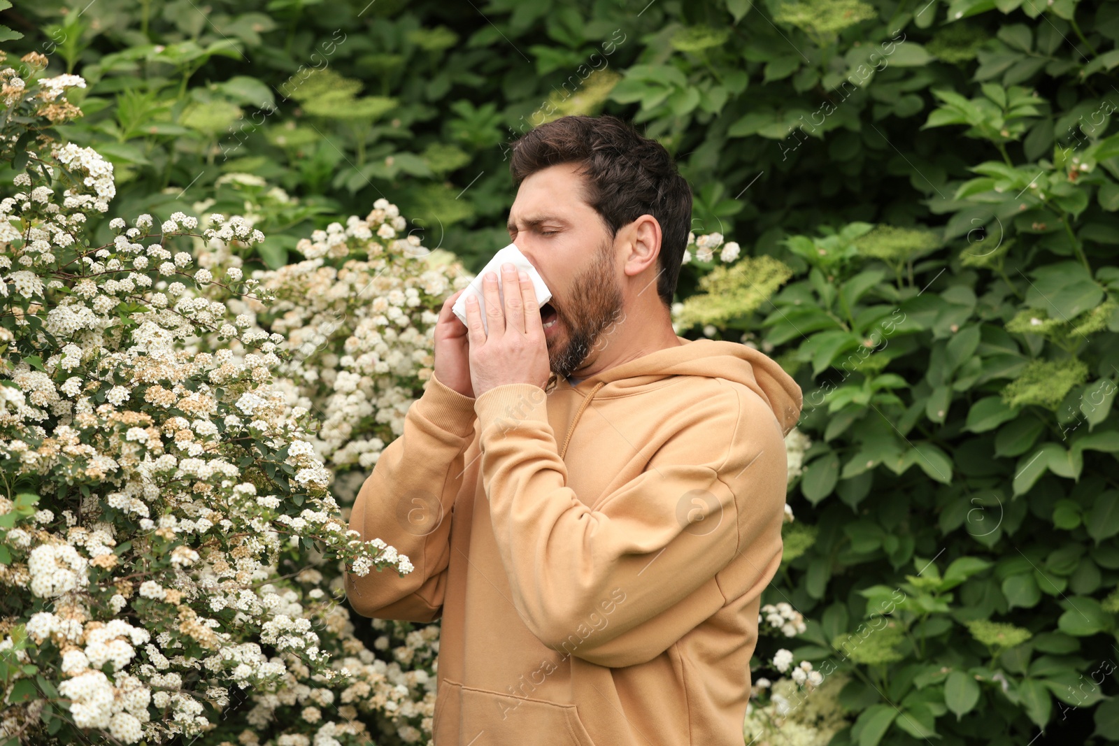 Photo of Man suffering from seasonal pollen allergy near blossoming tree on spring day