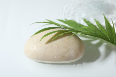 Spa stone and palm leaf in water on white background, closeup