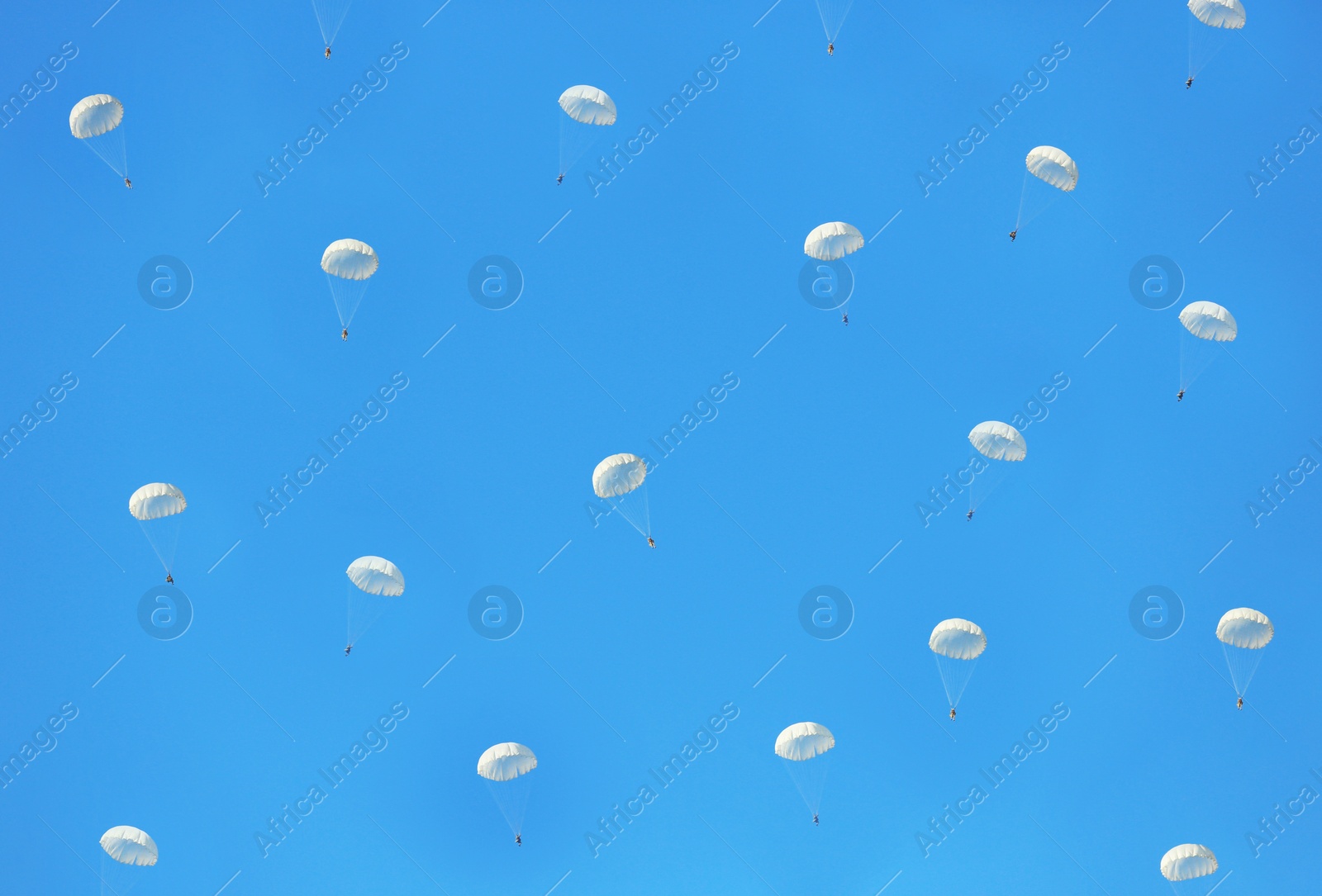 Photo of Paratroopers parachuting in blue sky. Military service