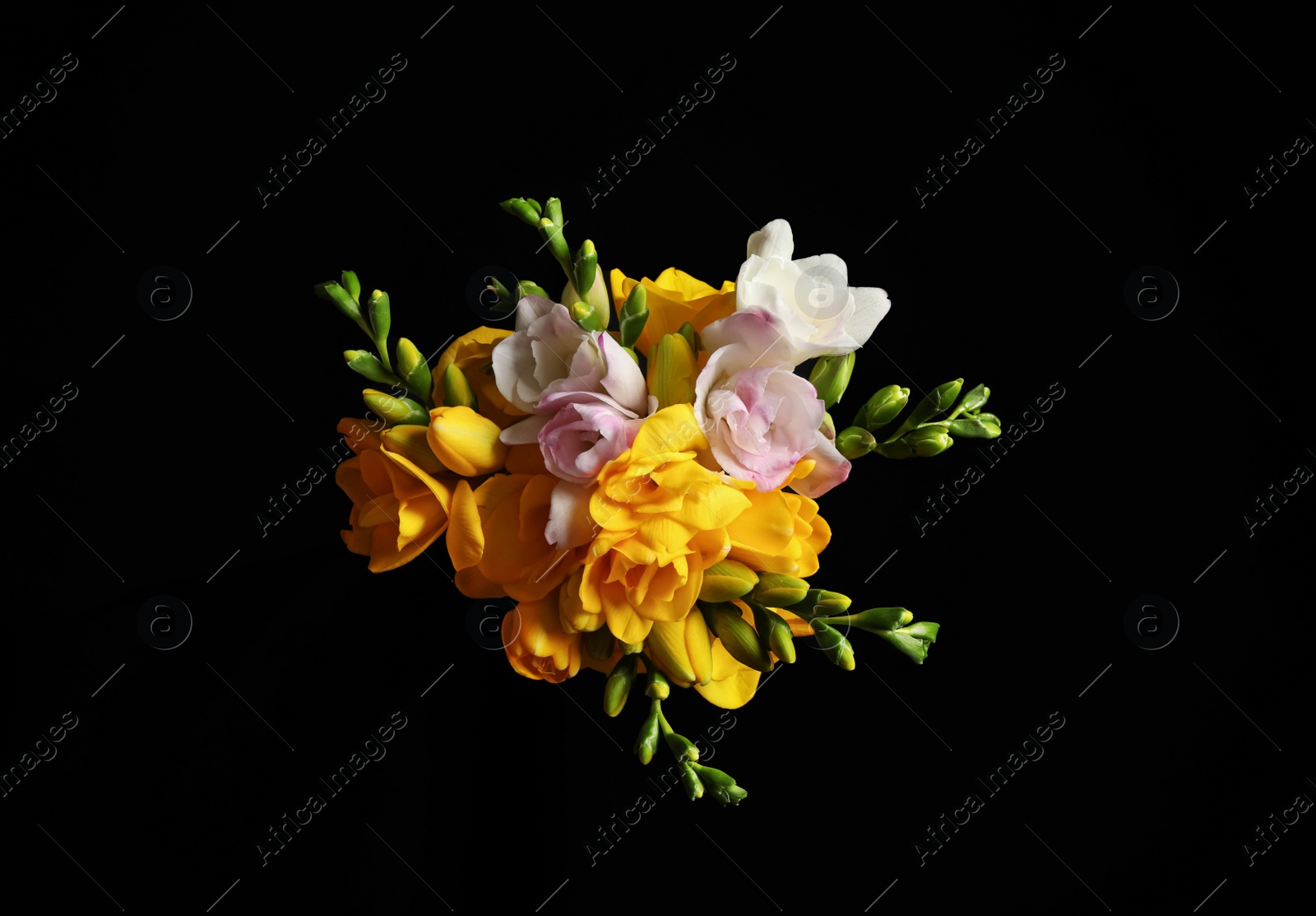 Photo of Bouquet of beautiful freesia flowers on black background, top view