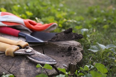 Old secateurs and other gardening tools on wooden stump among green grass, closeup