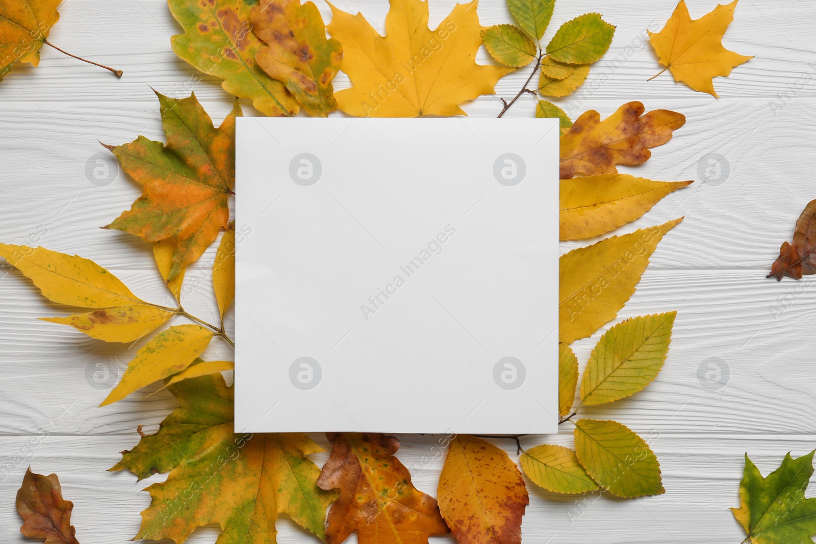 Photo of Autumn leaves and blank card on white wooden table, flat lay. Space for text