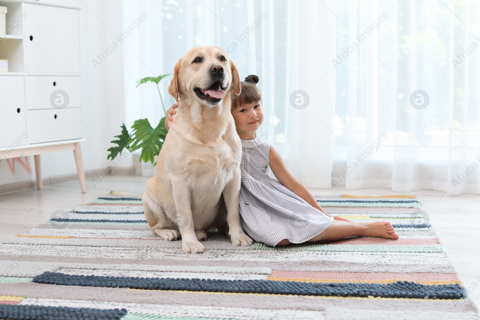 Photo of Adorable yellow labrador retriever and little girl at home