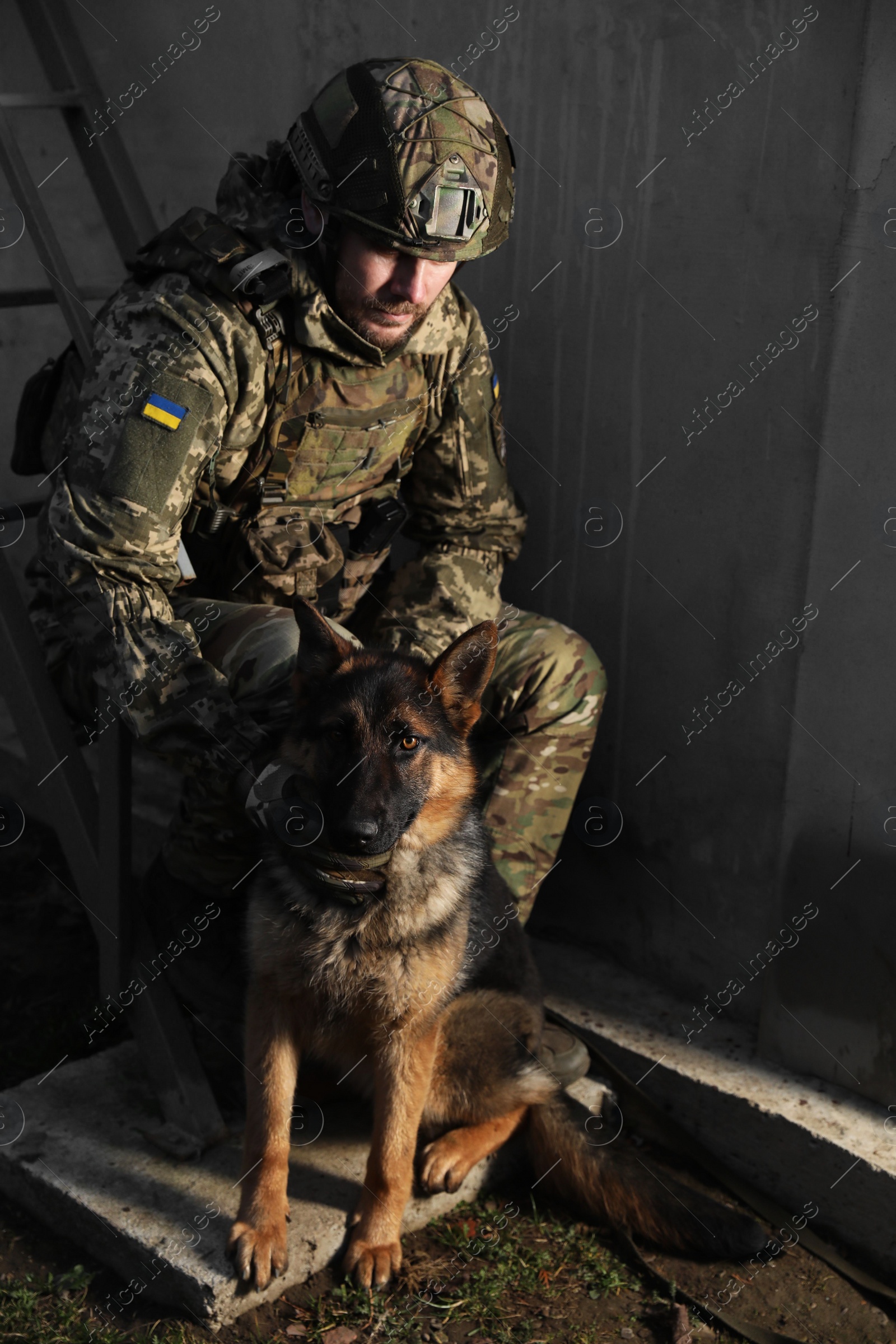 Photo of Ukrainian soldier with German shepherd dog sitting outdoors