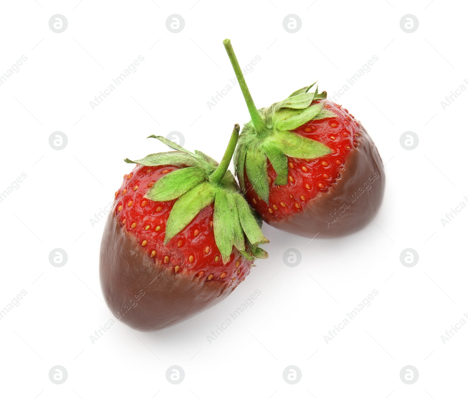 Photo of Delicious chocolate covered strawberries on white background