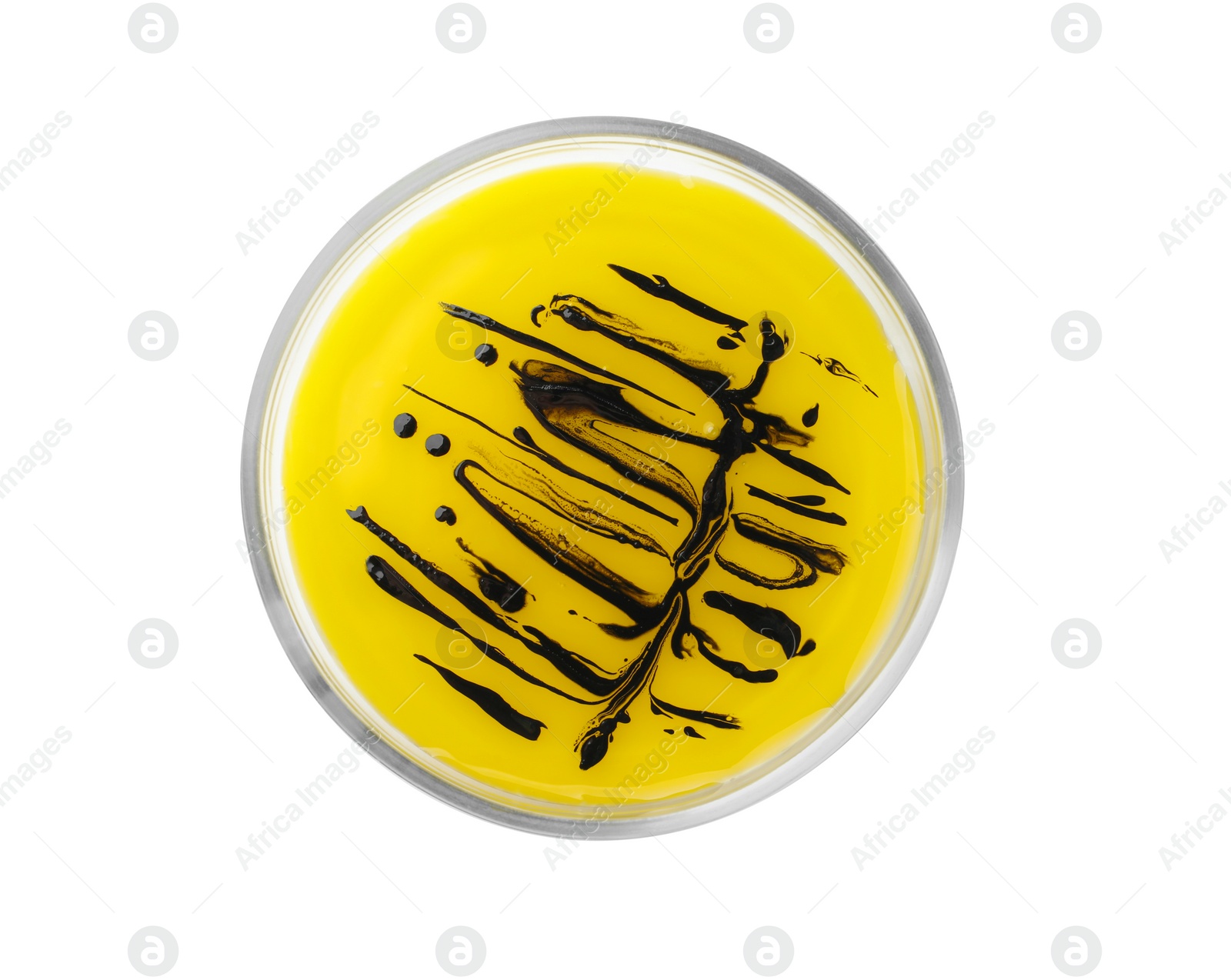 Photo of Petri dish with bacteria colony isolated on white, top view