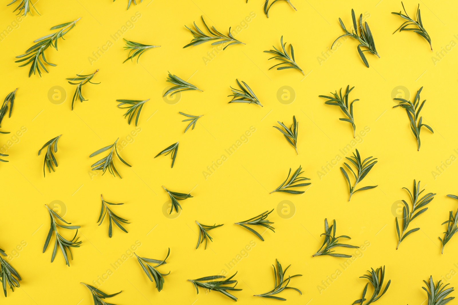 Photo of Frame made of fresh rosemary on yellow background, flat lay