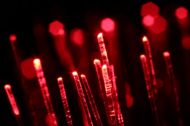 Photo of Optical fiber strands transmitting red light on black background, macro view